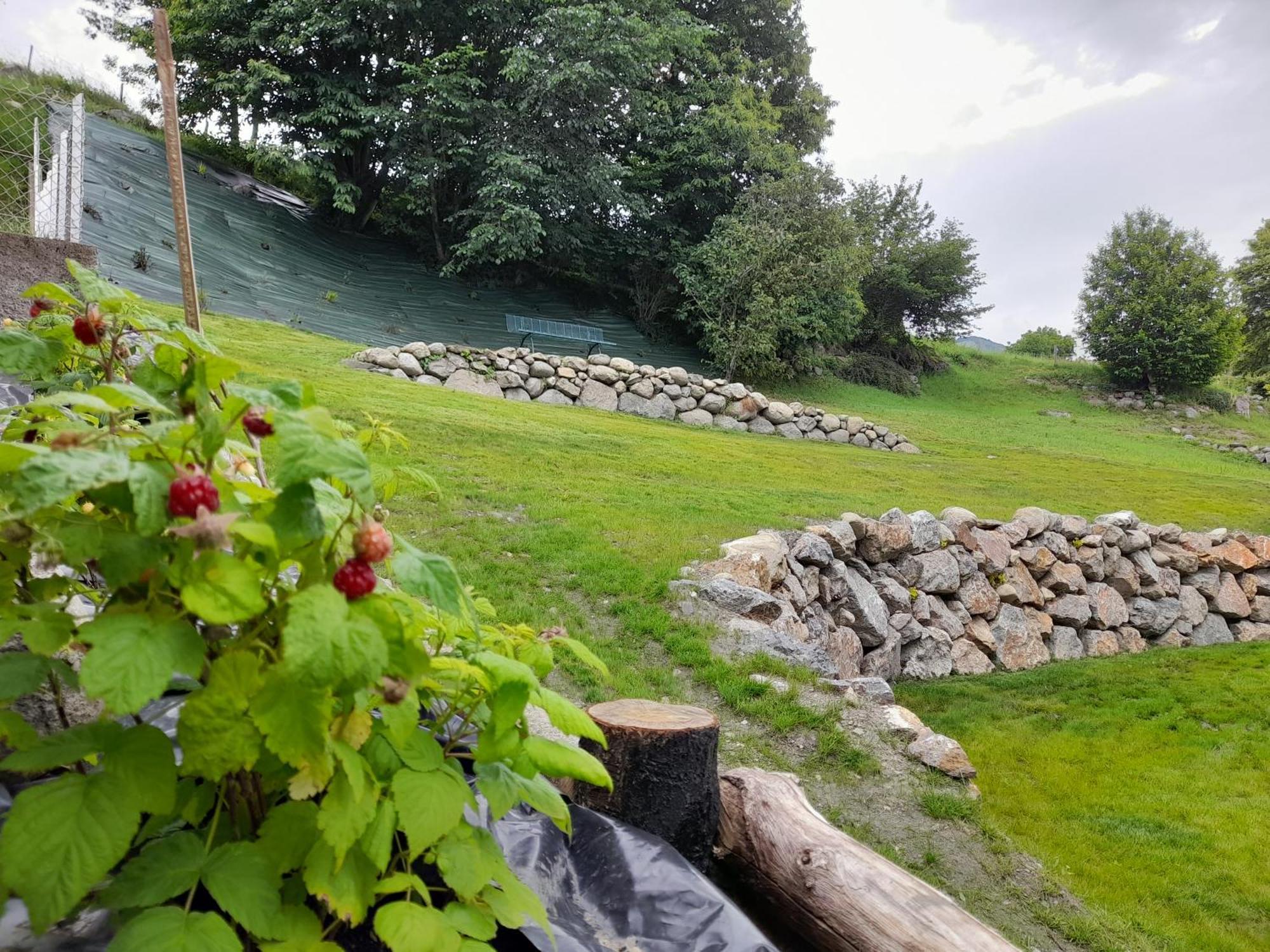 Eden Des Pyrenees Villa Arcizans-Avant Eksteriør bilde